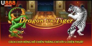 Cách chơi rồng hổ