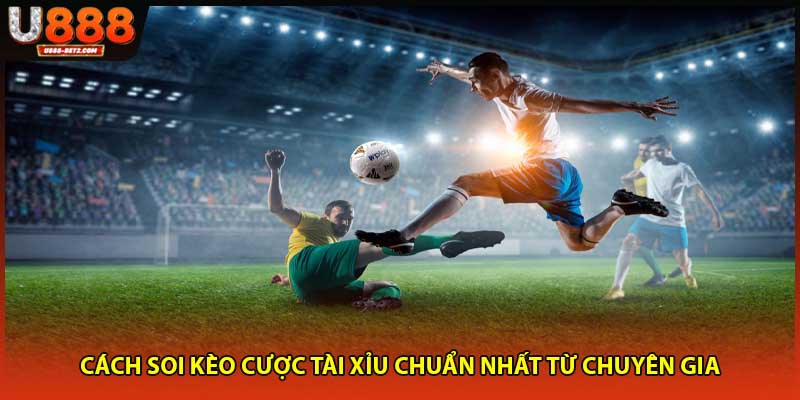 Cách soi kèo cược tài xỉu chuẩn nhất từ chuyên gia