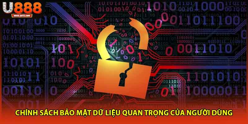 Chính sách bảo mật dữ liệu quan trọng của người dùng