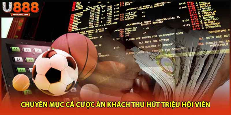 Chuyên mục cá cược ăn khách thu hút triệu hội viên 