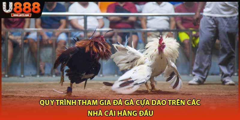 Quy trình tham gia đá gà cựa dao trên các nhà cái hàng đầu